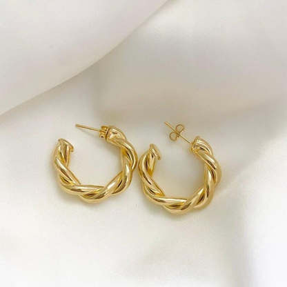 Twisted Sparkling Earrings